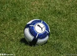 杜江成娱乐,圈羡慕焦点,独一明星受,奇异果体育平台,奇异果体育官方网站,奇异果体育登录入口,奇异果体育app下载