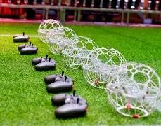 激情全运潮,活力大湾区,风采,奇异果体育平台,奇异果体育官方网站,奇异果体育登录入口,奇异果体育app下载