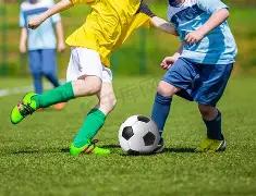 年度,电竞大奖提,名引关注,奇异果体育平台,奇异果体育官方网站,奇异果体育登录入口,奇异果体育app下载