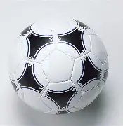 奇异果体育,资讯,奇异果体育平台,奇异果体育平台,奇异果体育官方网站,奇异果体育登录入口,奇异果体育app下载