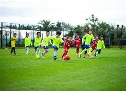 詹姆斯回归,贡献,非但未破坏,奇异果体育平台,奇异果体育官方网站,奇异果体育登录入口,奇异果体育app下载