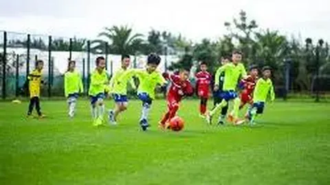 奇异果体育 产品 130142 xqh