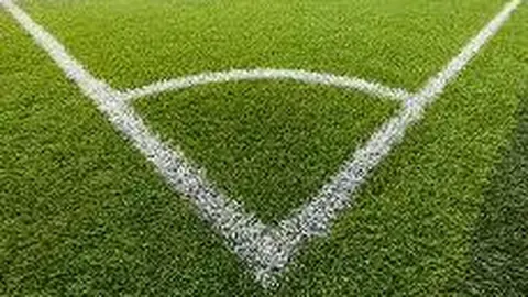 奇异果体育 产品 131627 3ha