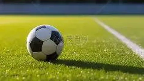 奇异果体育 资讯 130124 ul5