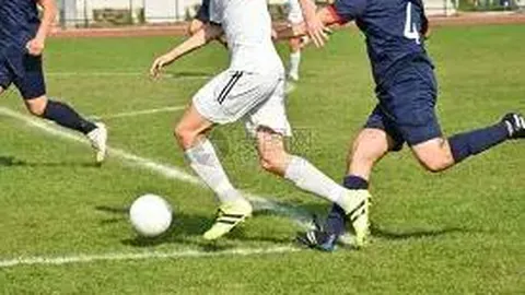 奇异果体育 产品 130522 y87