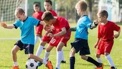 奇异果体育 产品 131519 m0b