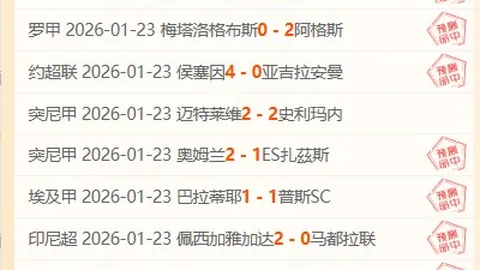 纳帅对话格雷茨卡：理性交流，缺席欧洲杯失望情有可原